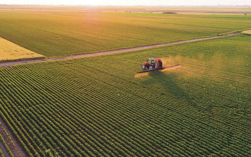 AGRICULTURE
